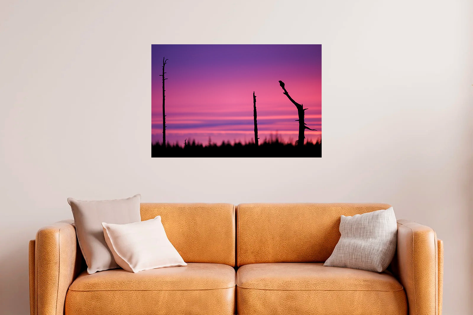 Cuervo al amanecer en la frontera