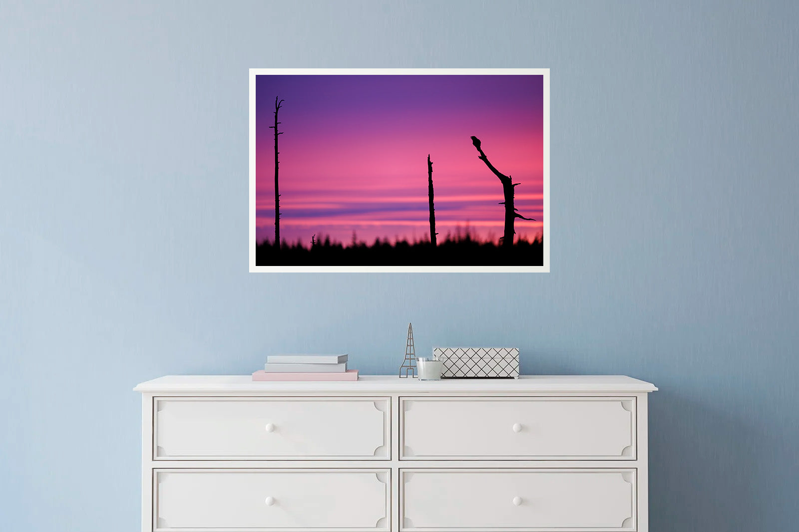 Cuervo al amanecer en la frontera