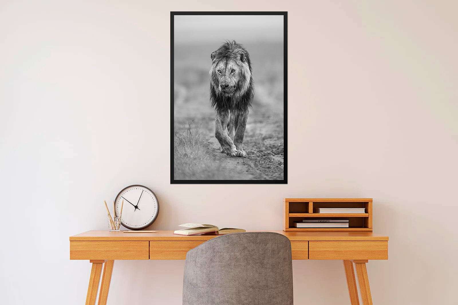 León moviéndose al amanecer B/N