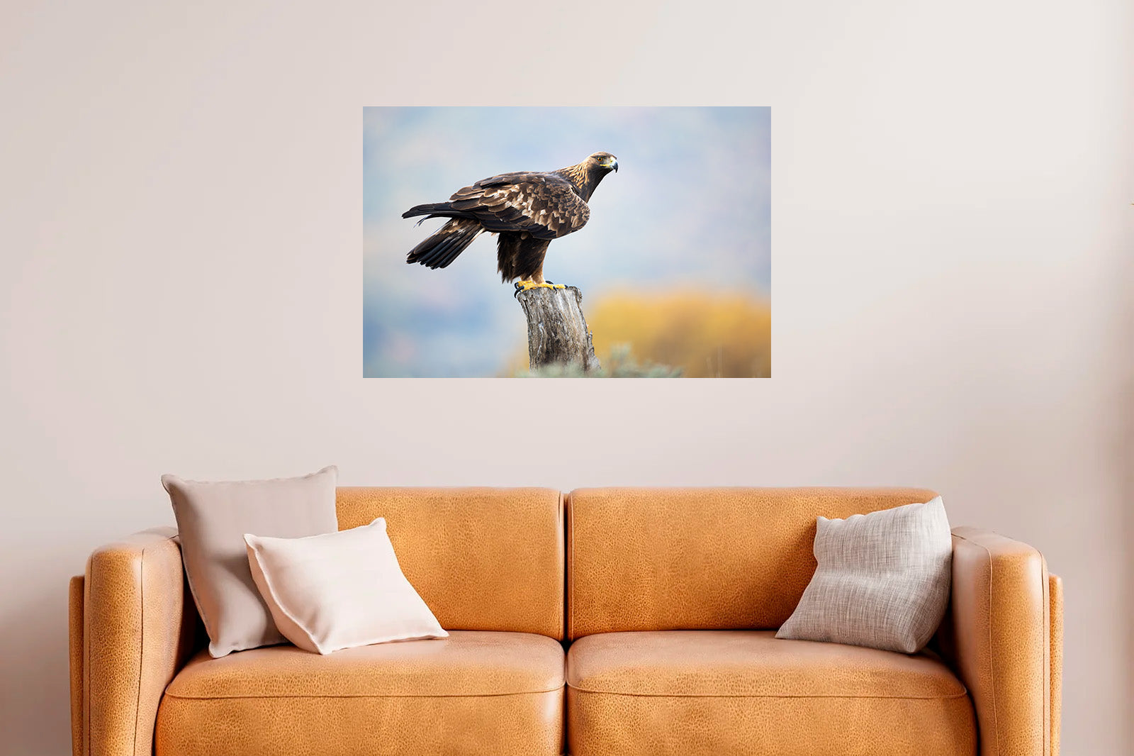 Águila real posada sobre un tronco