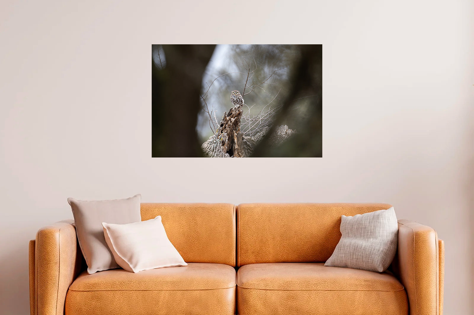 Mochuelo lejano entre ramas