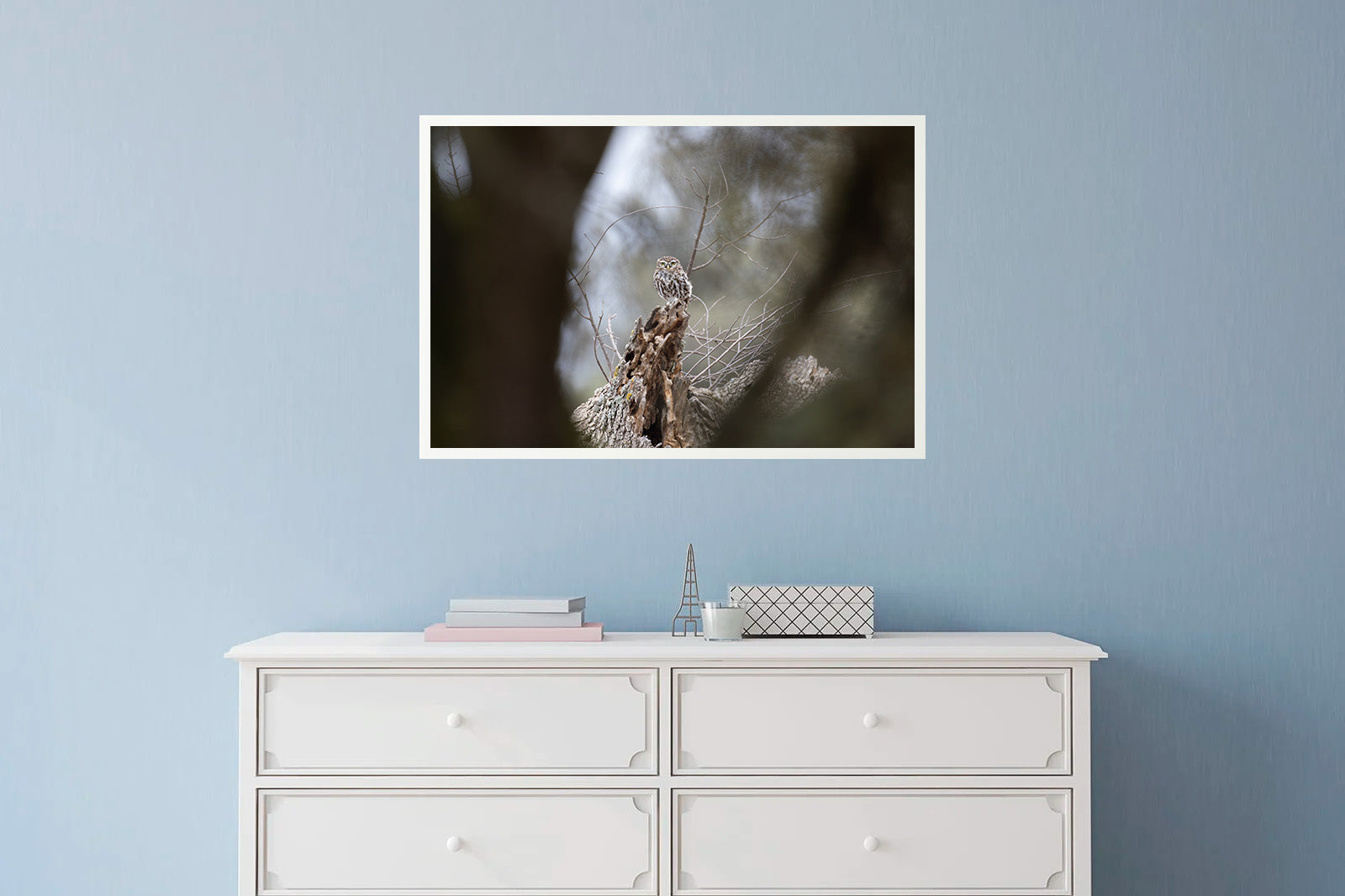 Mochuelo lejano entre ramas