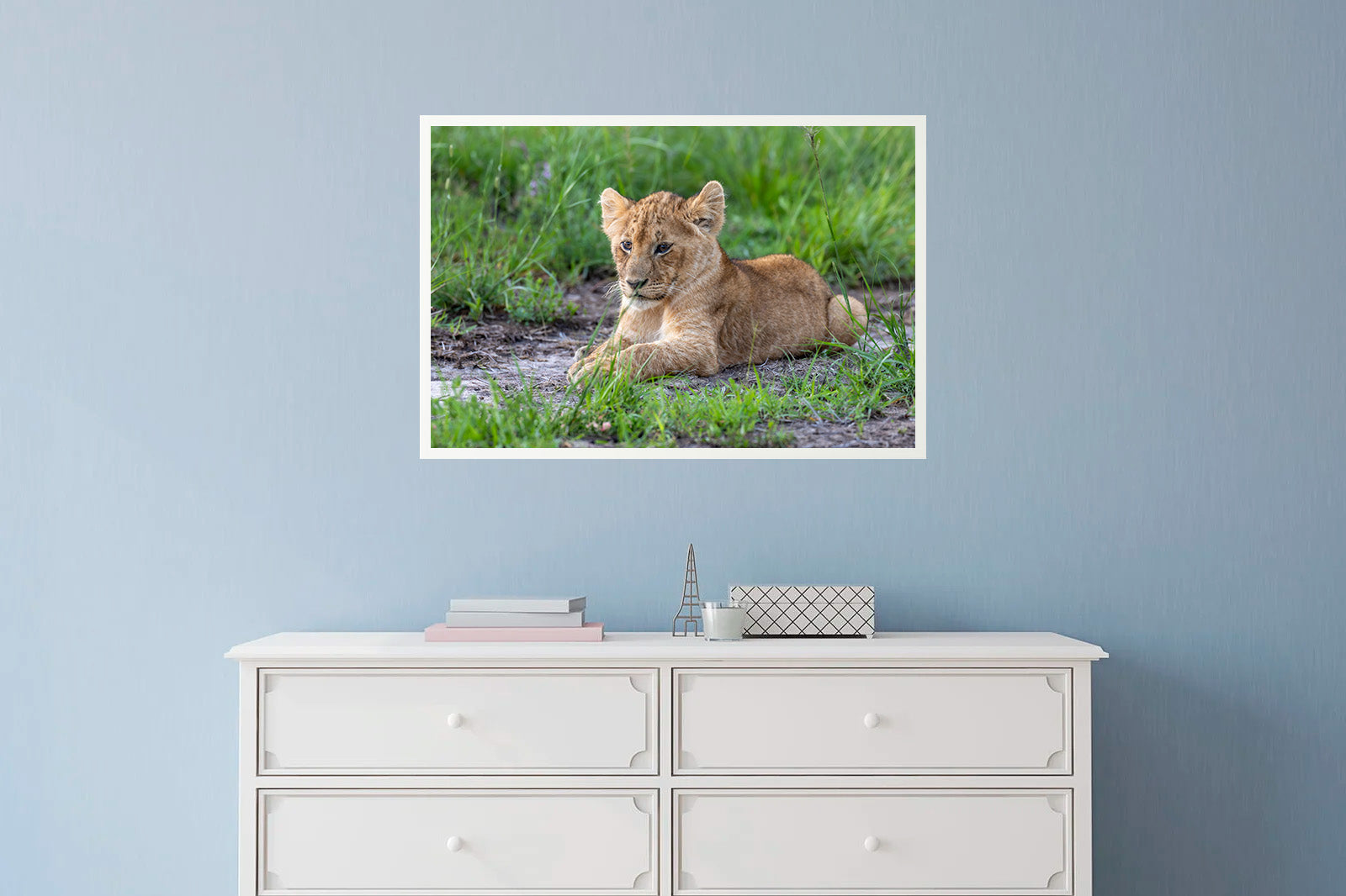 Cachorro de león descansando en la hierba