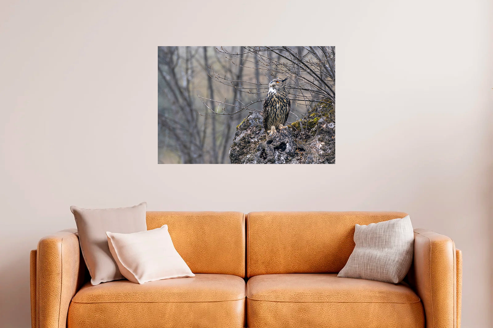 Búho real observando al cielo