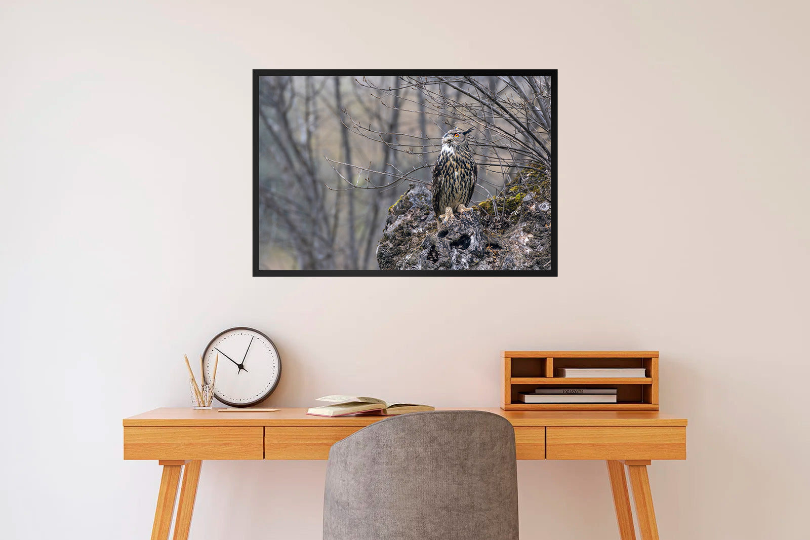 Búho real observando al cielo