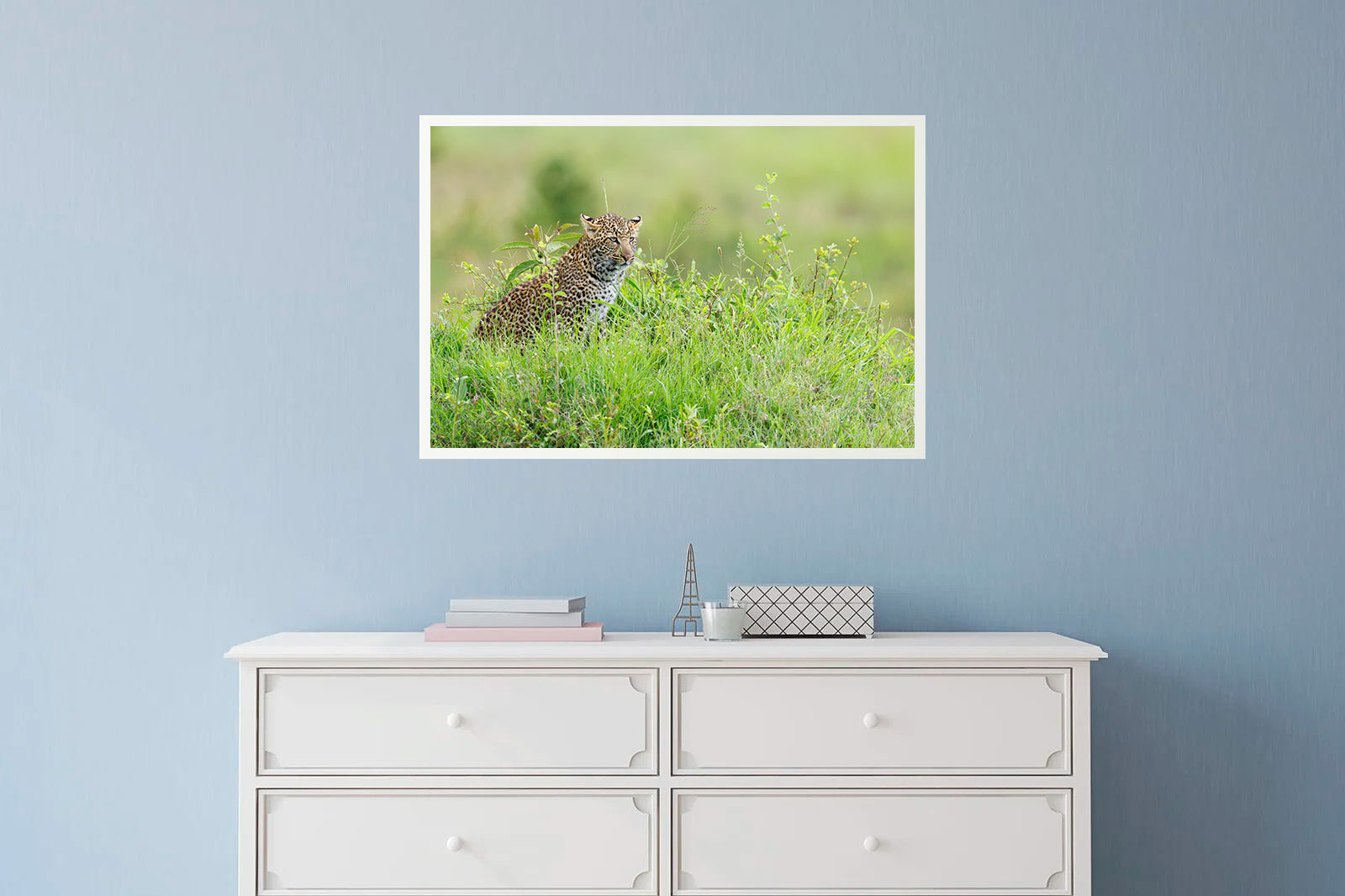 Joven leopardo observando entre la hierba