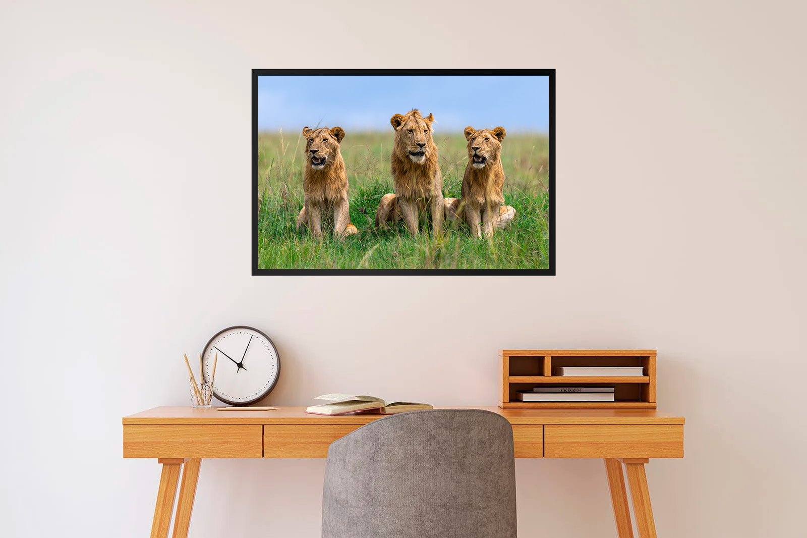 Tres leones jóvenes entre la hierba