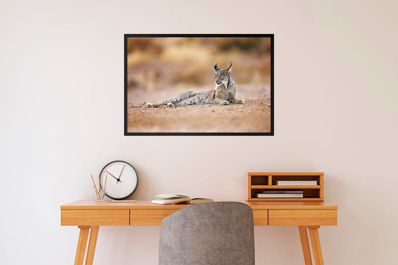 Lince ibérico tumbado con mirada lateral