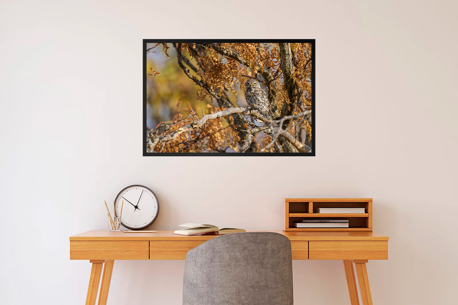 Mochuelo entre ramas otoñales