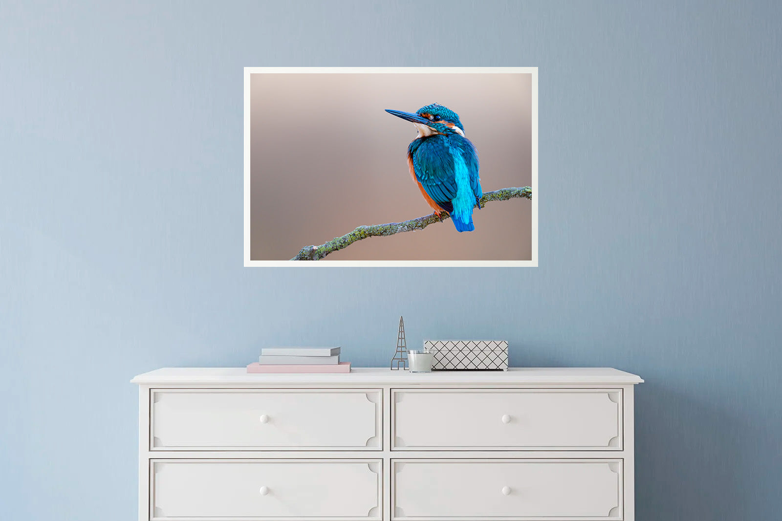 Martín pescador en fondo crema mirando a la izquierda