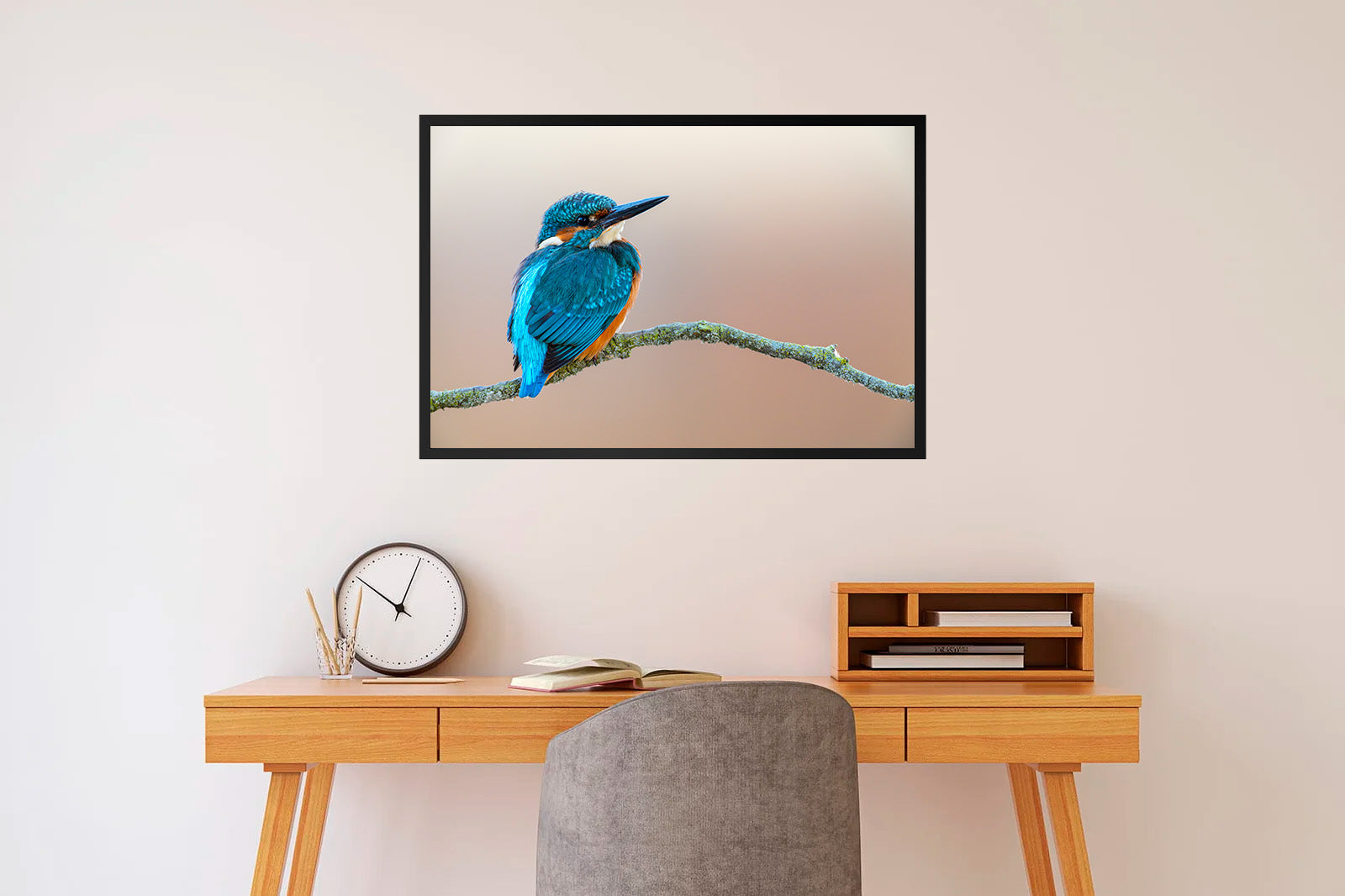 Martín pescador en fondo crema mirando a la derecha