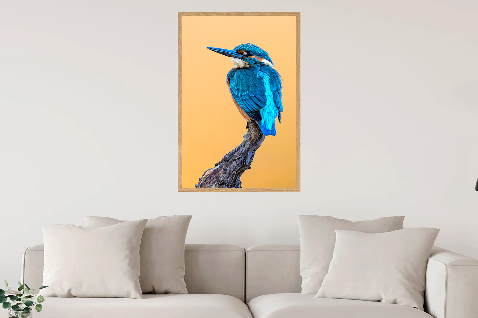 Martín pescador en posadero