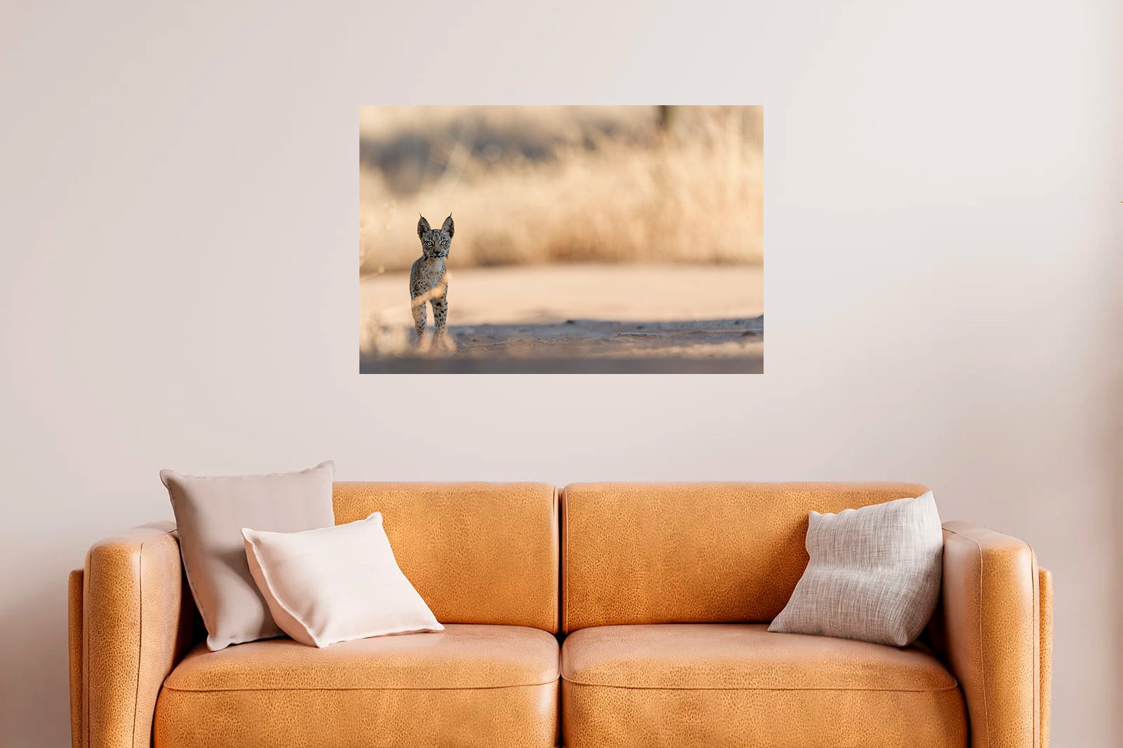 Cachorro en la sombra mirando de frente