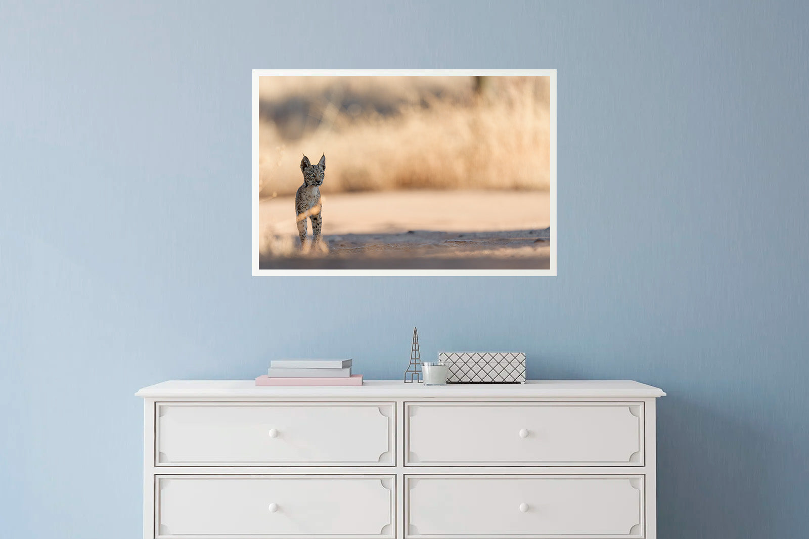 Cachorro en la sombra mirando de lado