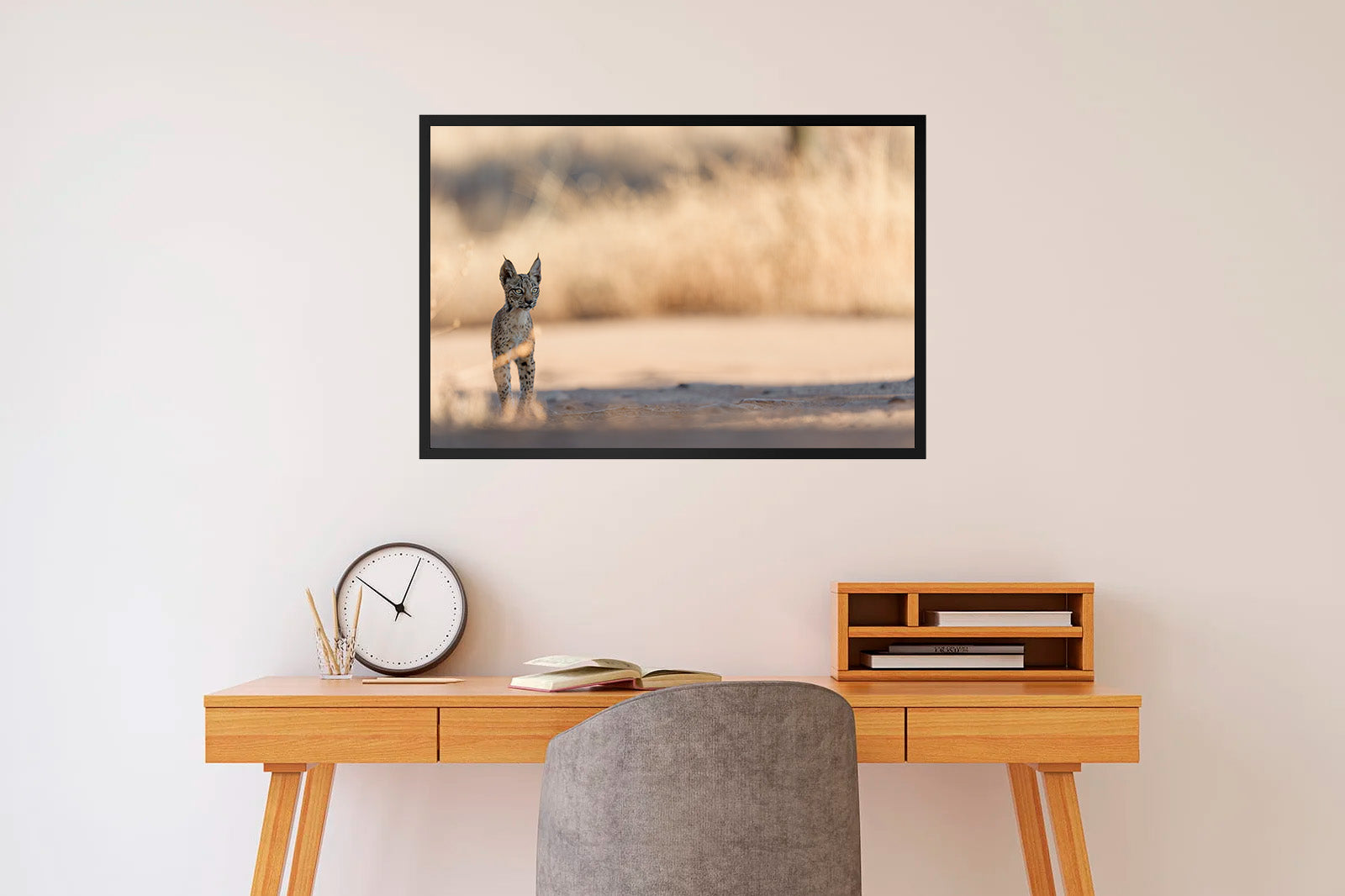 Cachorro en la sombra mirando de lado