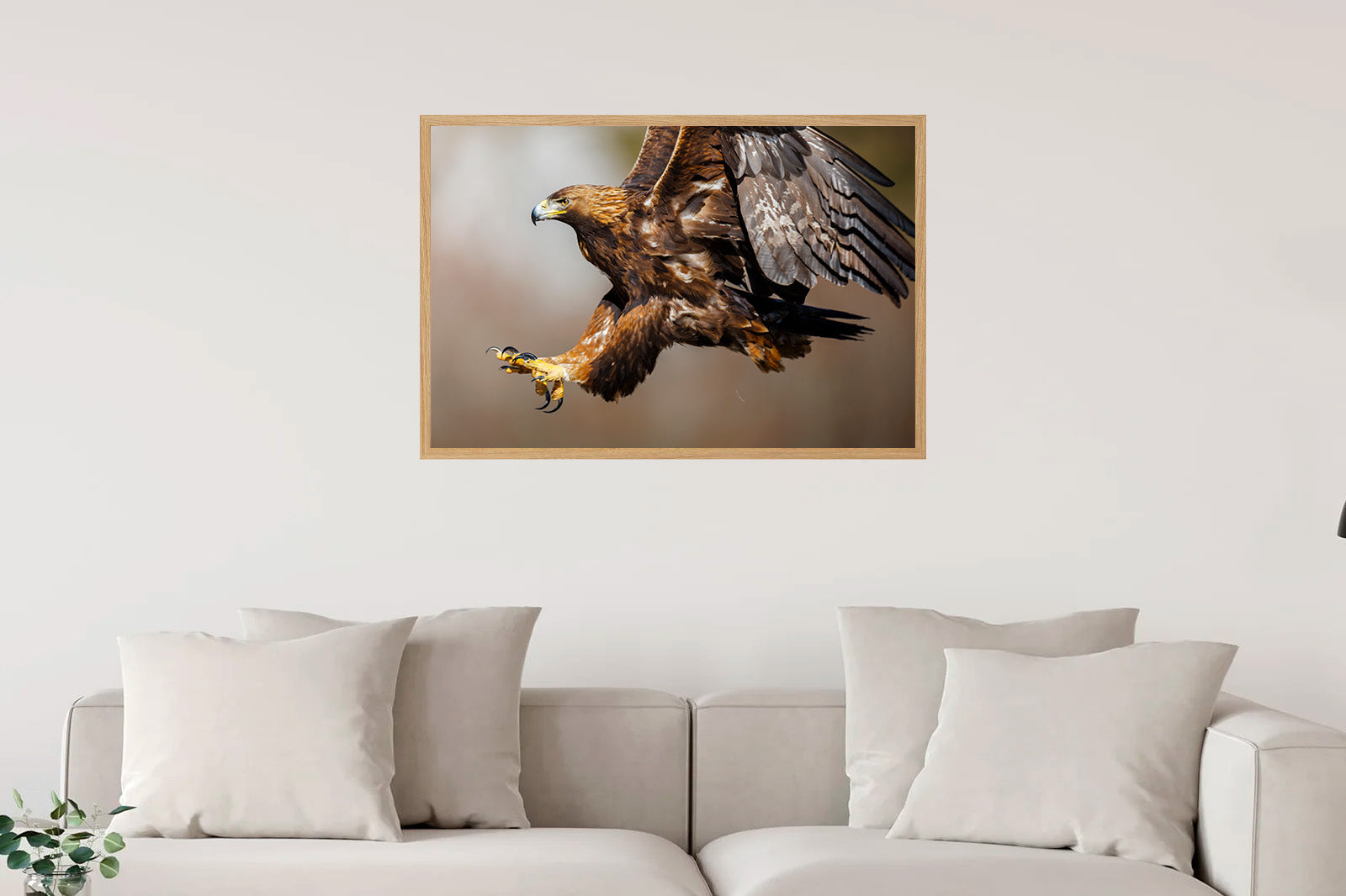 Águila real con las garras extendidas