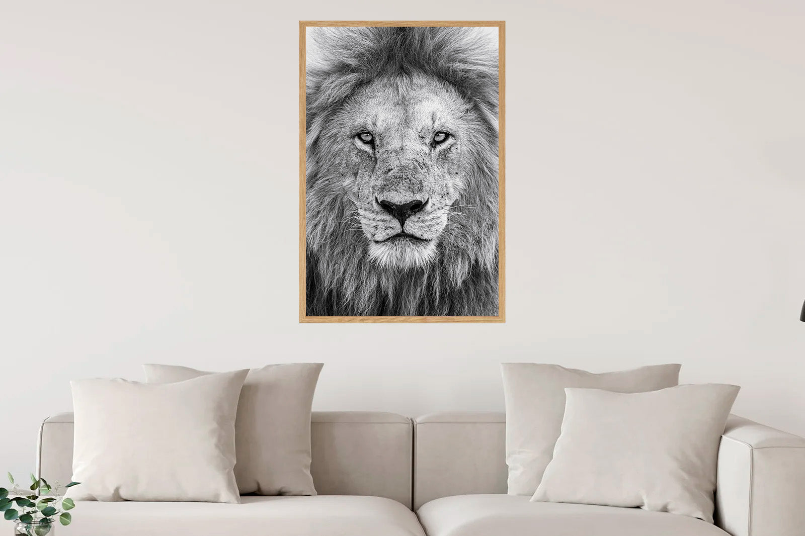 Retrato en blanco y negro de un león adulto