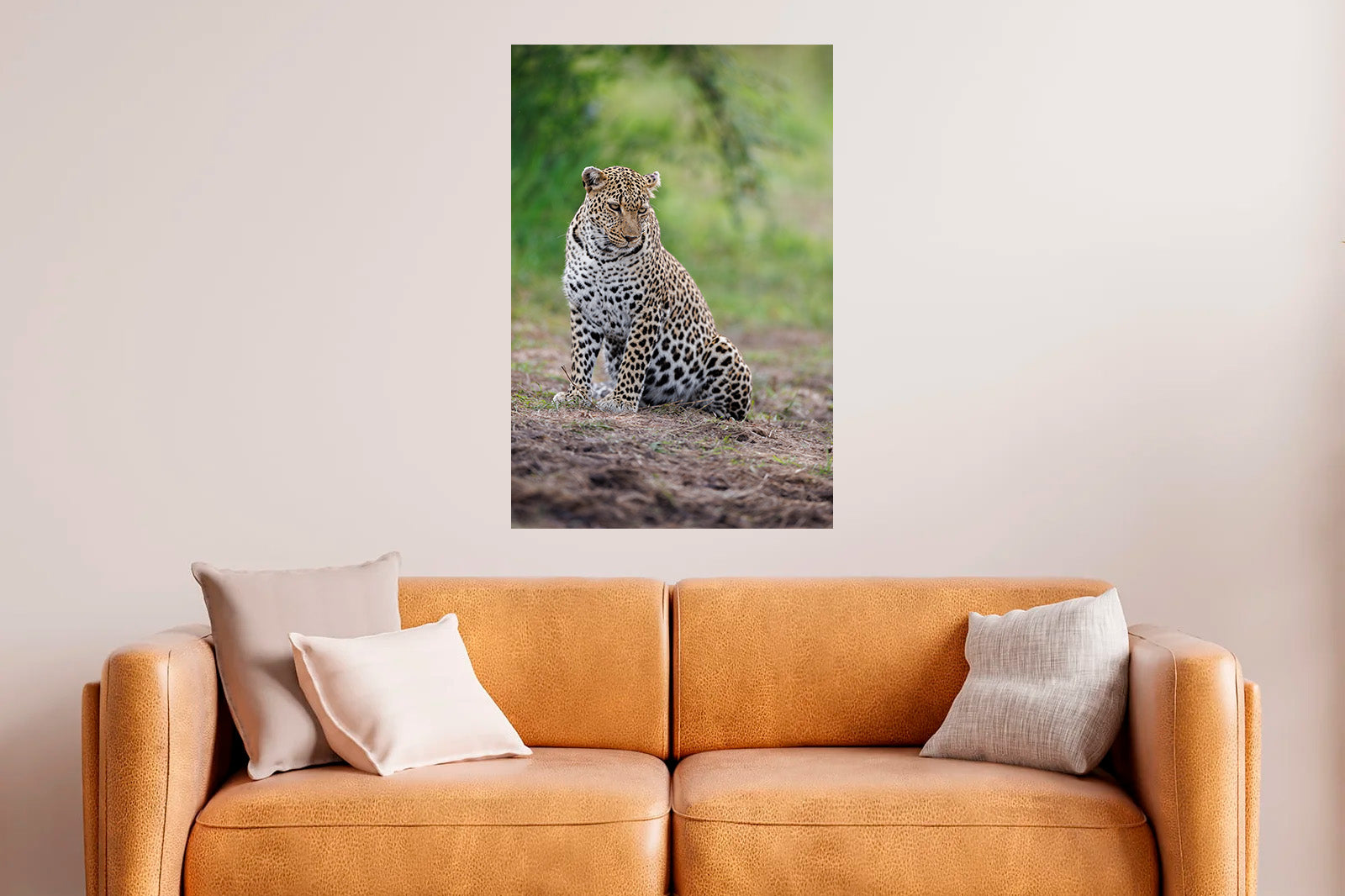 Leopardo en actitud relajada