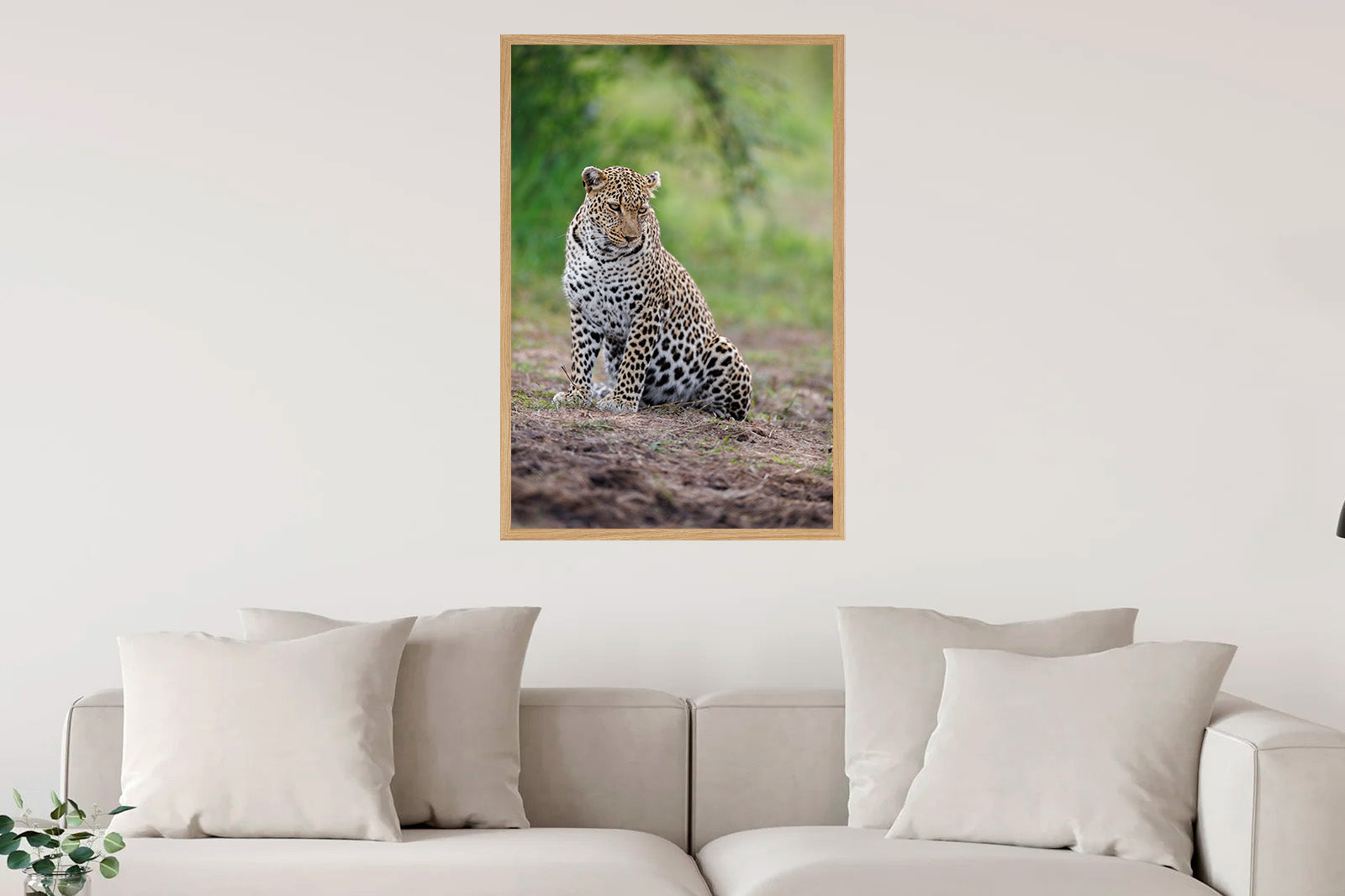 Leopardo en actitud relajada