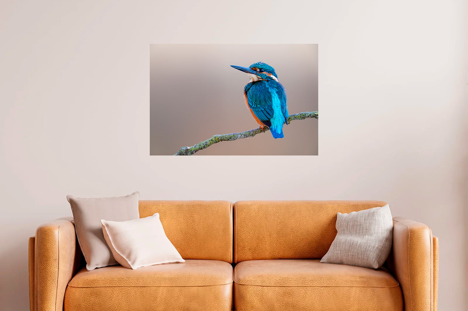 Martín pescador en fondo crema mirando a la izquierda