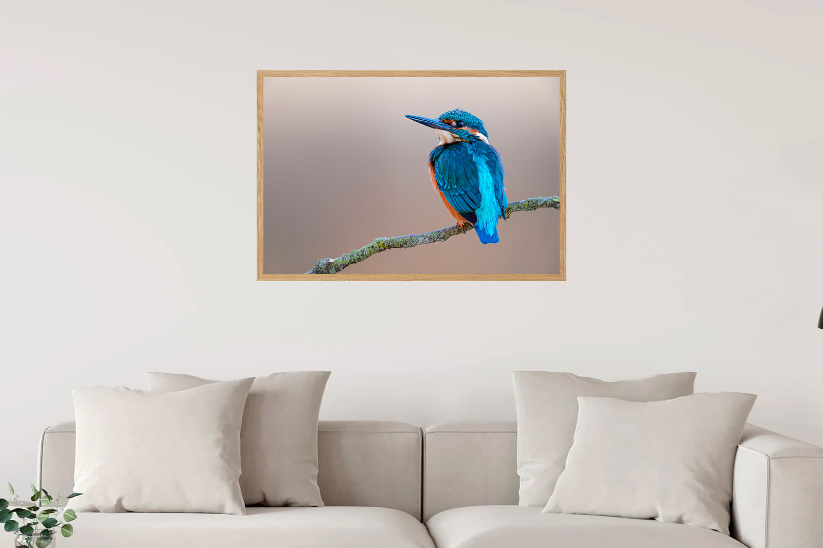 Martín pescador en fondo crema mirando a la izquierda