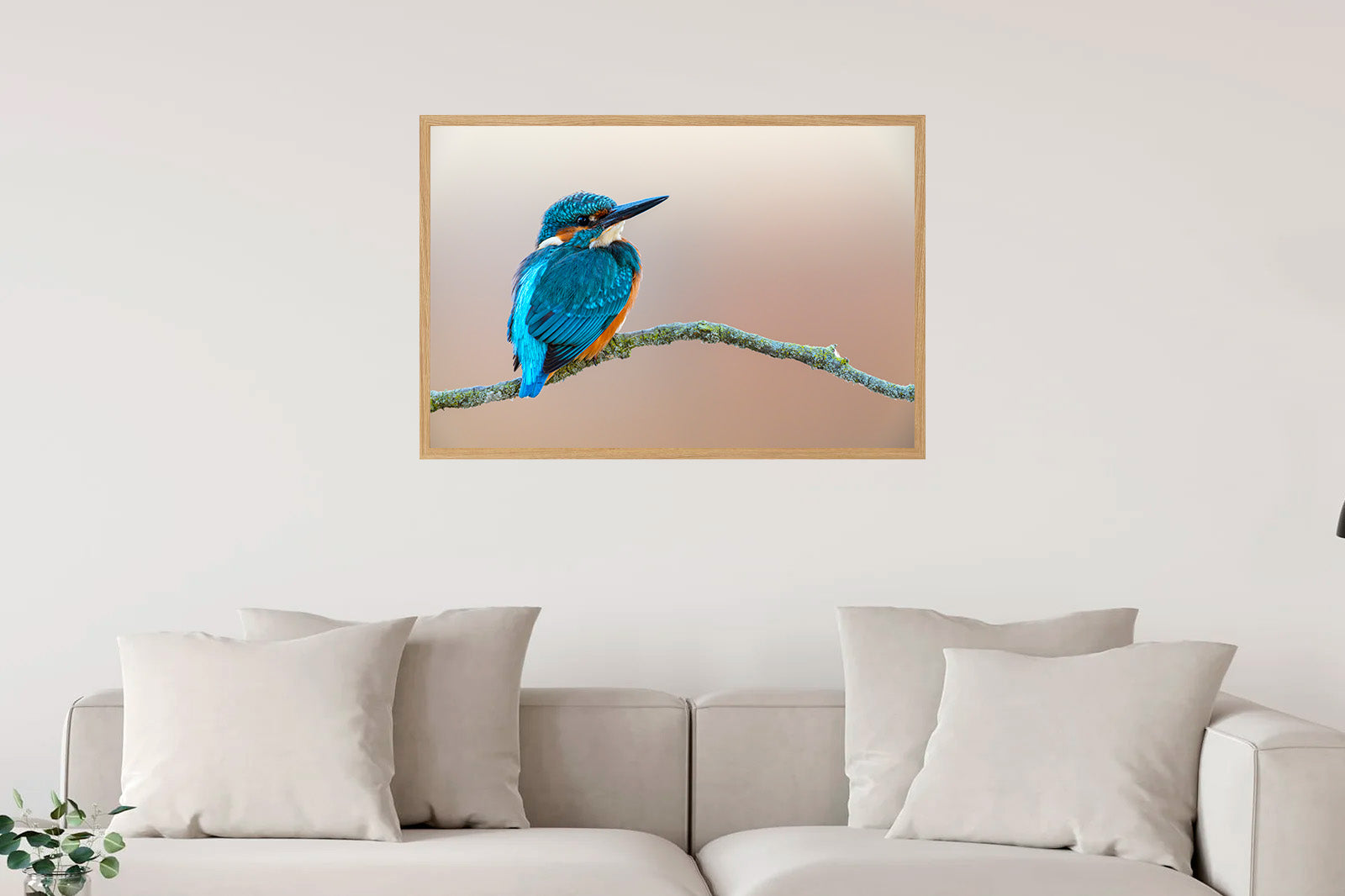 Martín pescador en fondo crema mirando a la derecha